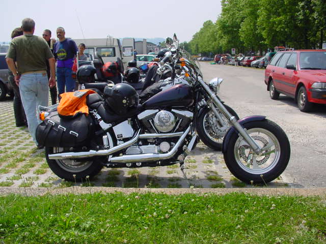 d018.jpg