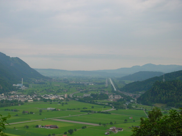 d135.jpg