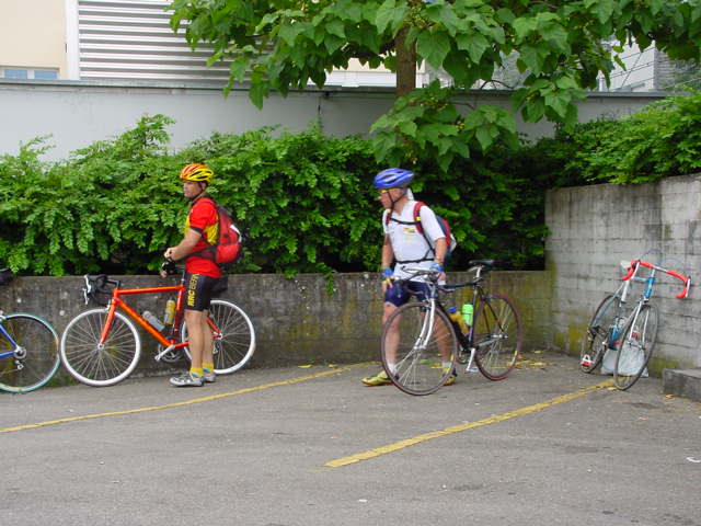 d137.jpg