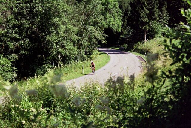 g05.jpg