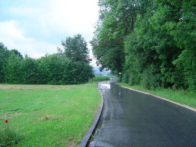 g09.jpg